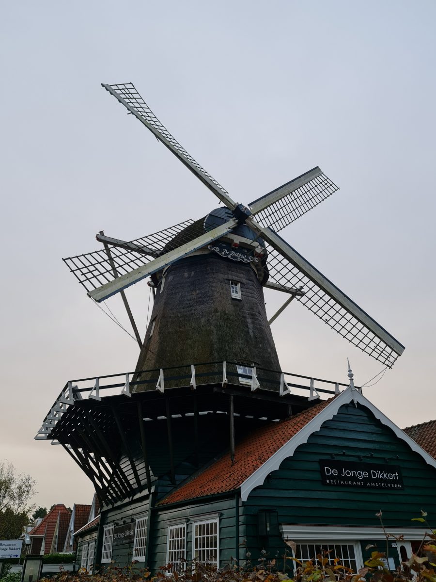 De jonge dikkert